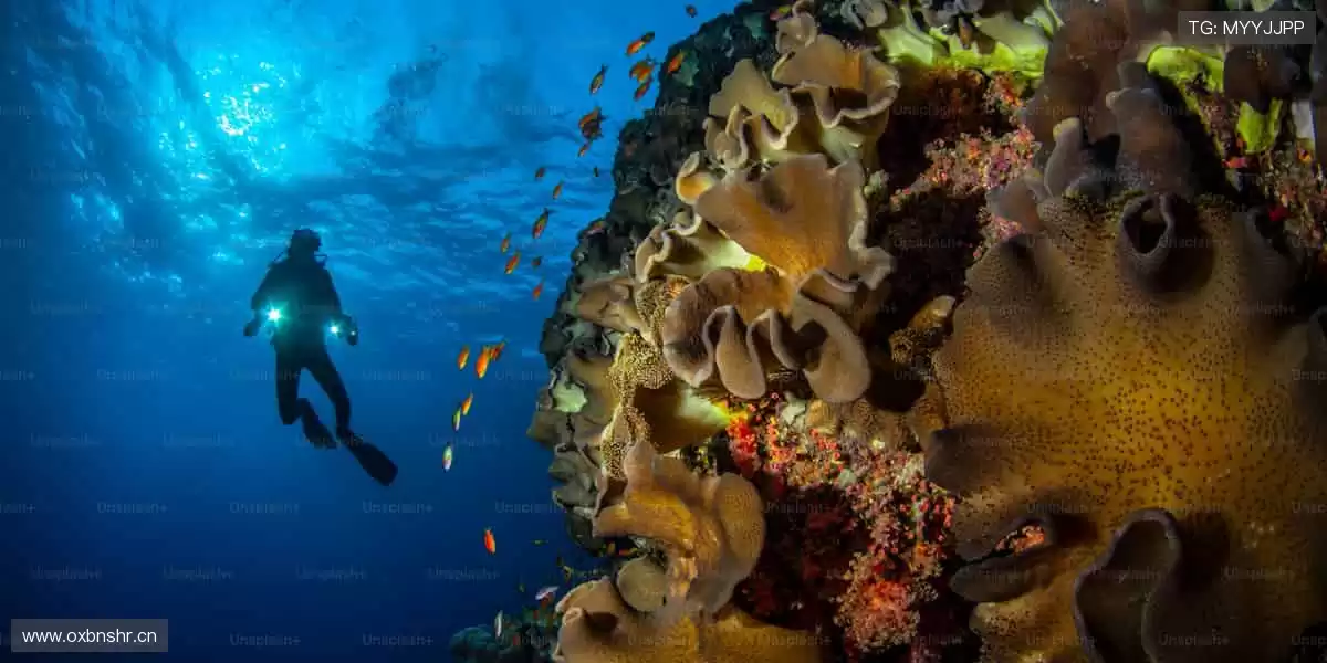 穿上队魂,书写历史!👕⚽️